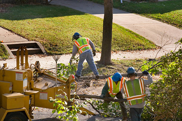 Best Grass Overseeding  in Merced, CA